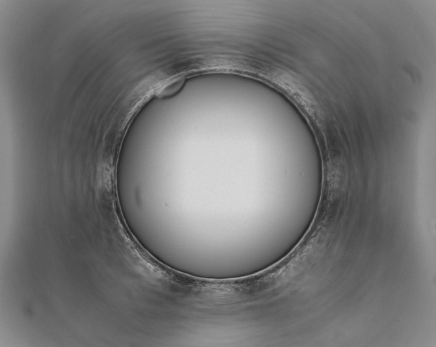 X0000111850993200908061310