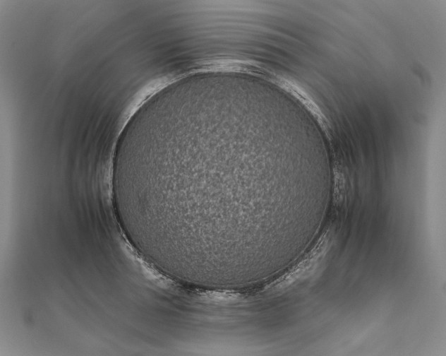 X0000111850994200908061310