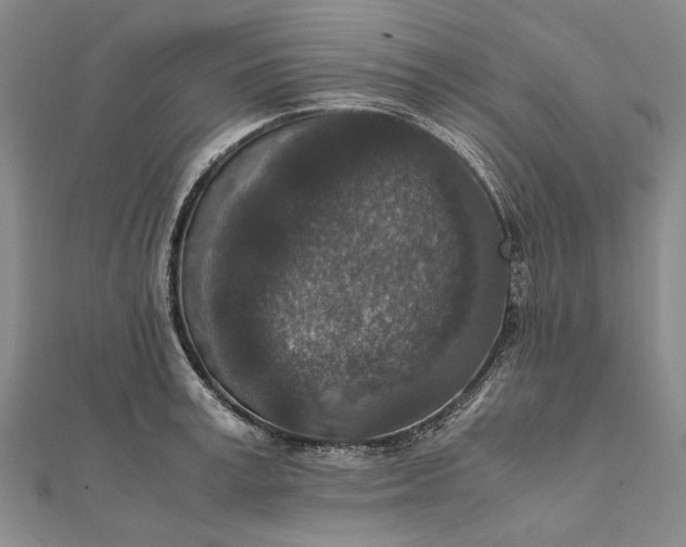 X0000111850995200908061310