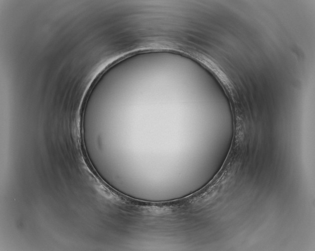 X0000111850996200908061310