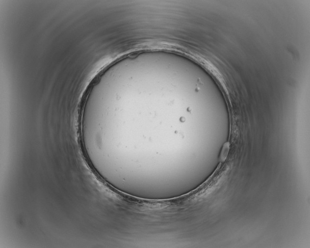 X0000111850997200908061310