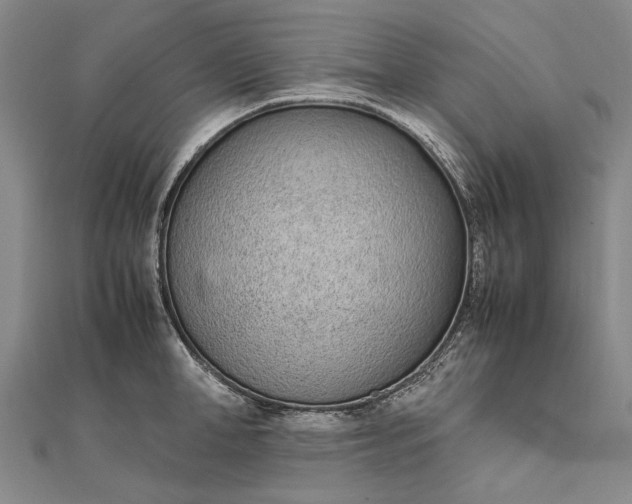 X0000111850998200908061310