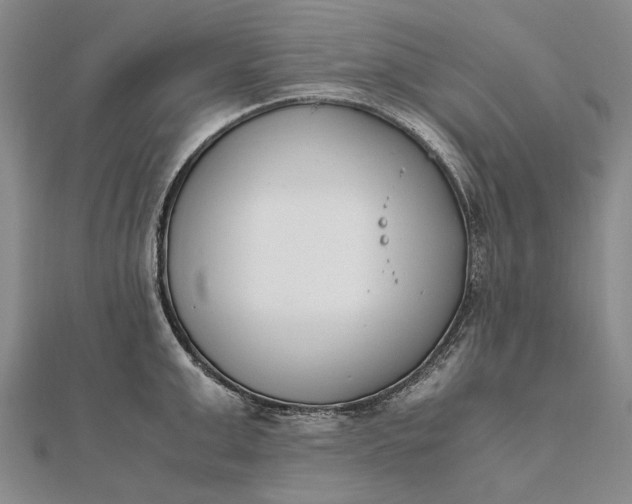 X0000111850999200908061310