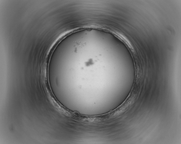 X0000111851000200908061310