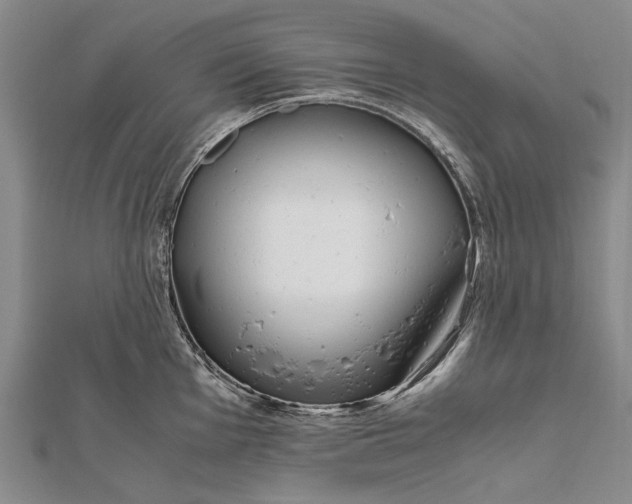 X0000111851001200908061310