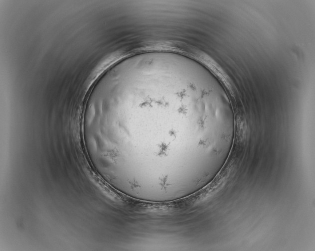 X0000111851002200908061310