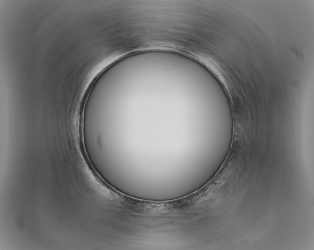 X0000111851003200908061310