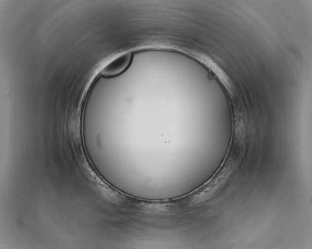 X0000111851004200908061310