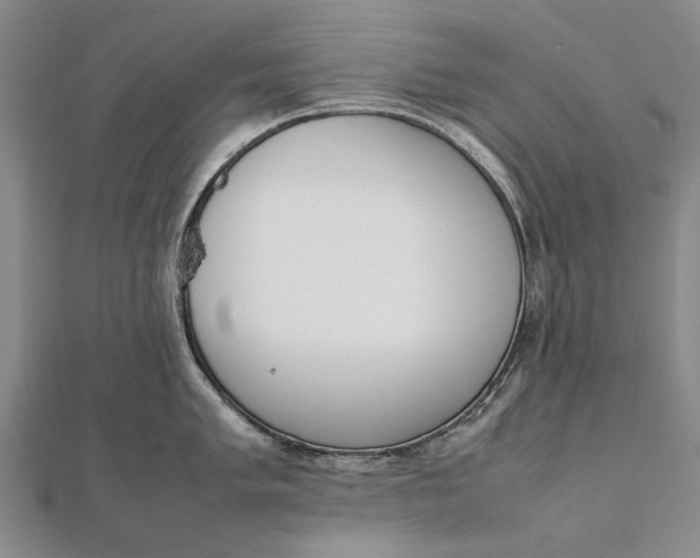 X0000111851005200908061310