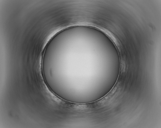 X0000111851006200908061310