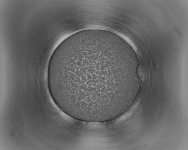 X0000111851007200908061310