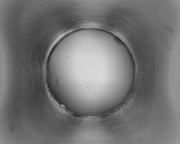 X0000111851008200908061310