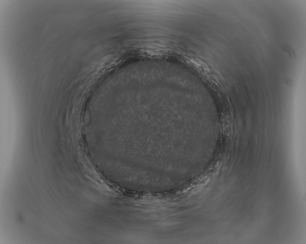 X0000111851009200908061310