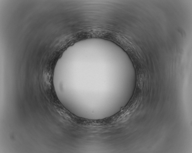 X0000111851010200908061310