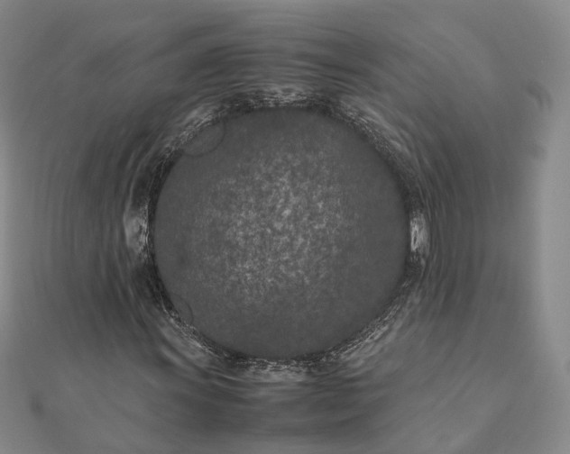 X0000111851011200908061310