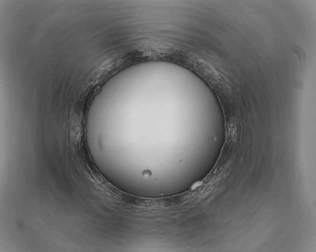 X0000111851012200908061310