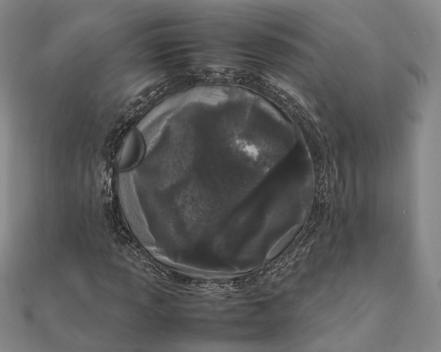 X0000111851013200908061310