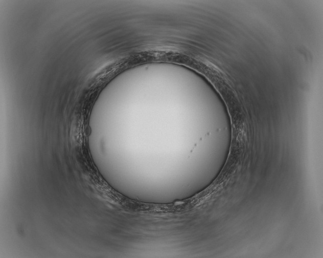 X0000111851014200908061310