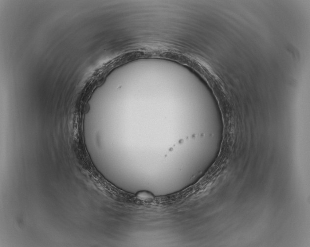 X0000111851016200908061310