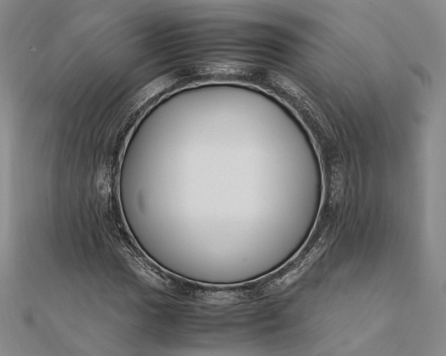 X0000111851017200908061310