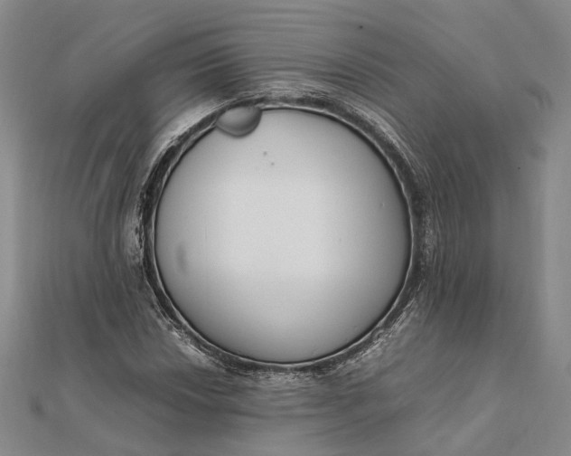 X0000111851018200908061310