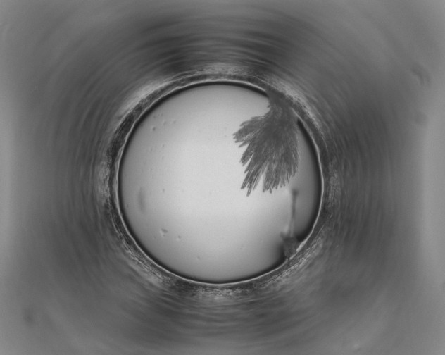 X0000111851019200908061310