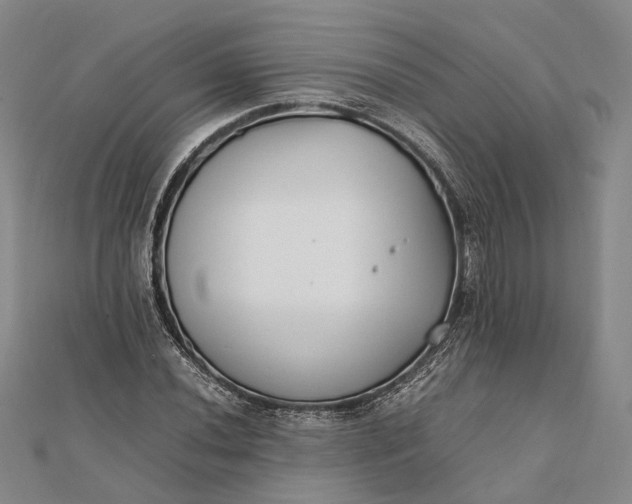 X0000111851020200908061310