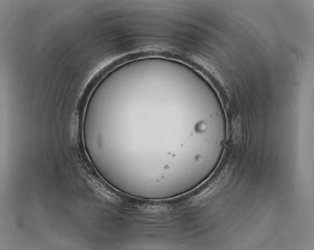 X0000111851021200908061310