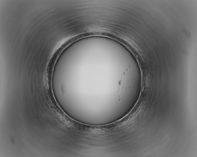 X0000111851022200908061310