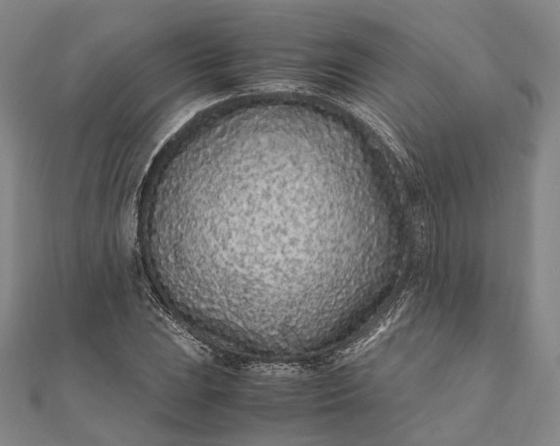 X0000111851023200908061310