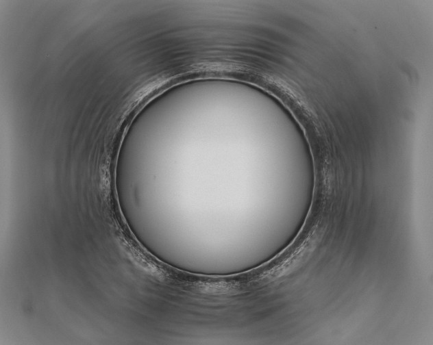 X0000111851025200908061310