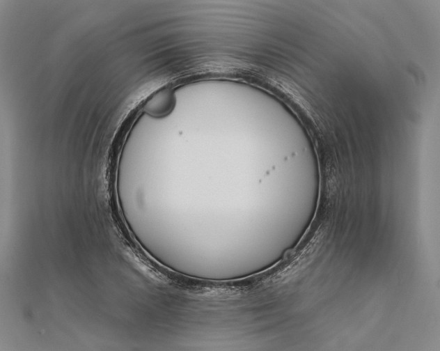 X0000111851026200908061310