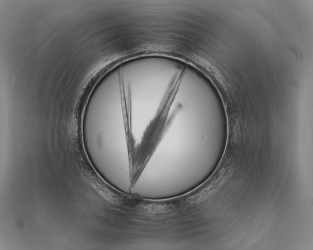 X0000111851027200908061310