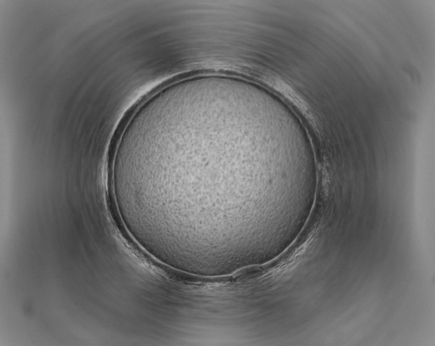 X0000111851028200908061310