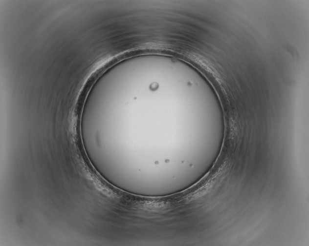 X0000111851029200908061310