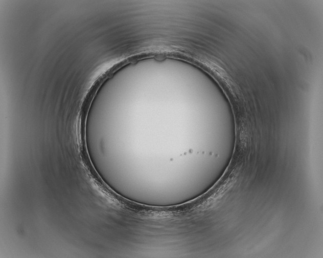 X0000111851030200908061310