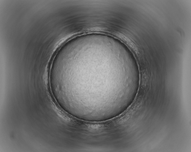 X0000111851031200908061310