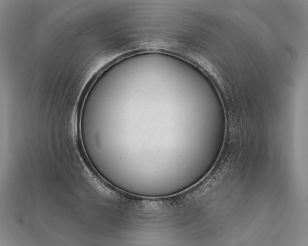 X0000111851032200908061310