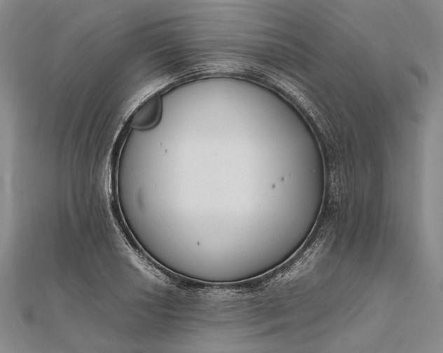 X0000111851034200908061310