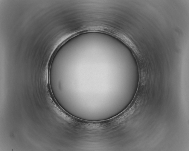 X0000111851036200908061310