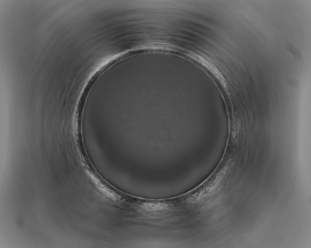 X0000111851037200908061310