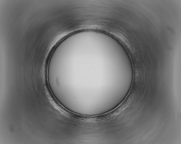 X0000111851038200908061310