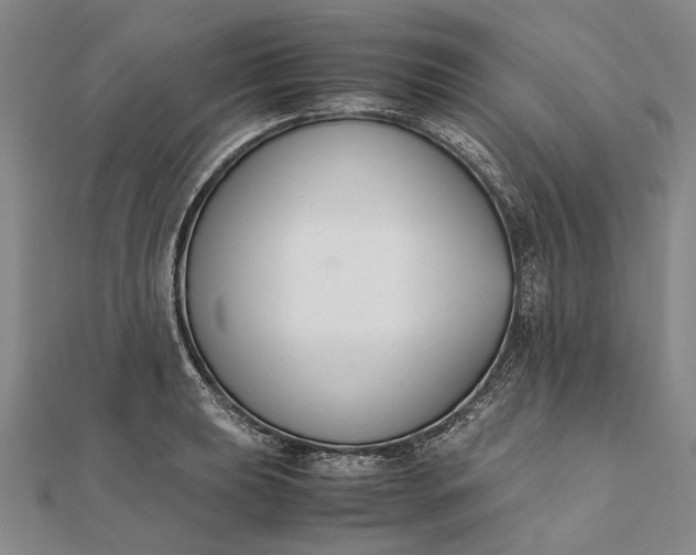 X0000111851039200908061310