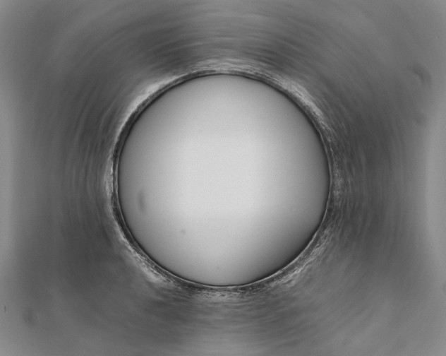 X0000111851040200908061310