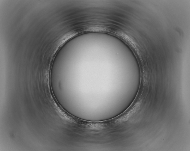 X0000111851041200908061310