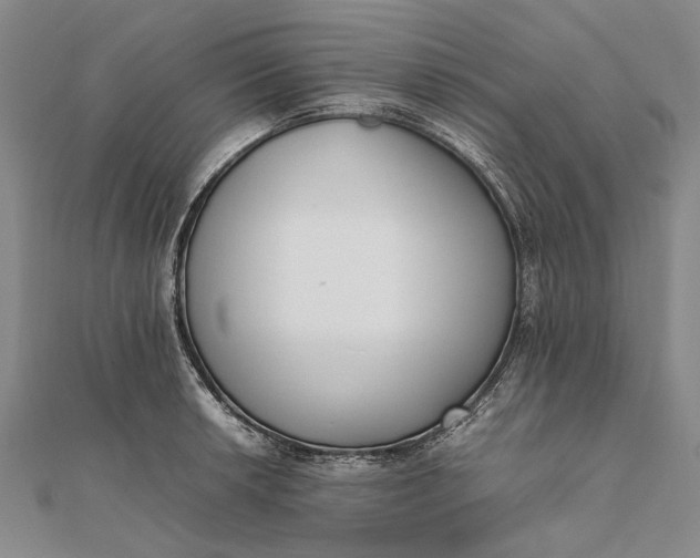 X0000111851042200908061310