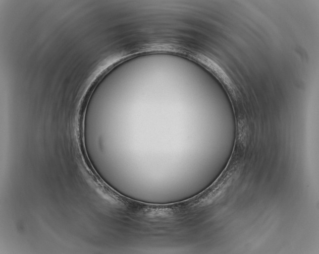 X0000111851043200908061310