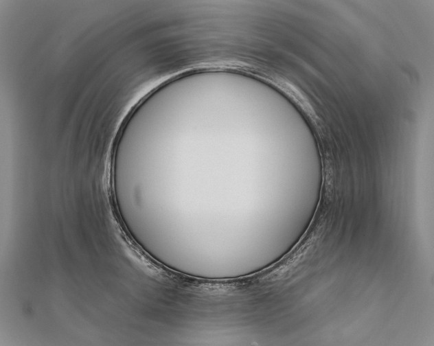 X0000111851044200908061310