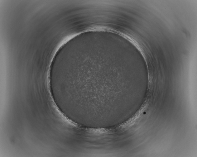 X0000111851045200908061310