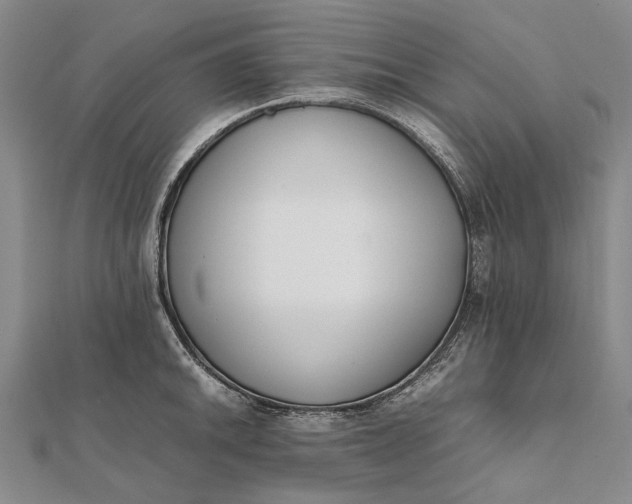 X0000111851046200908061310